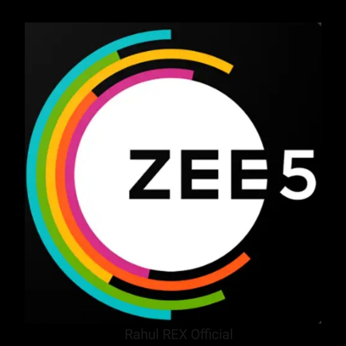 Zee TV